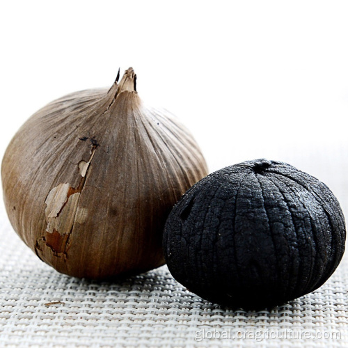 Black Garlic Fast Supply Organic Black Garlic Price Factory